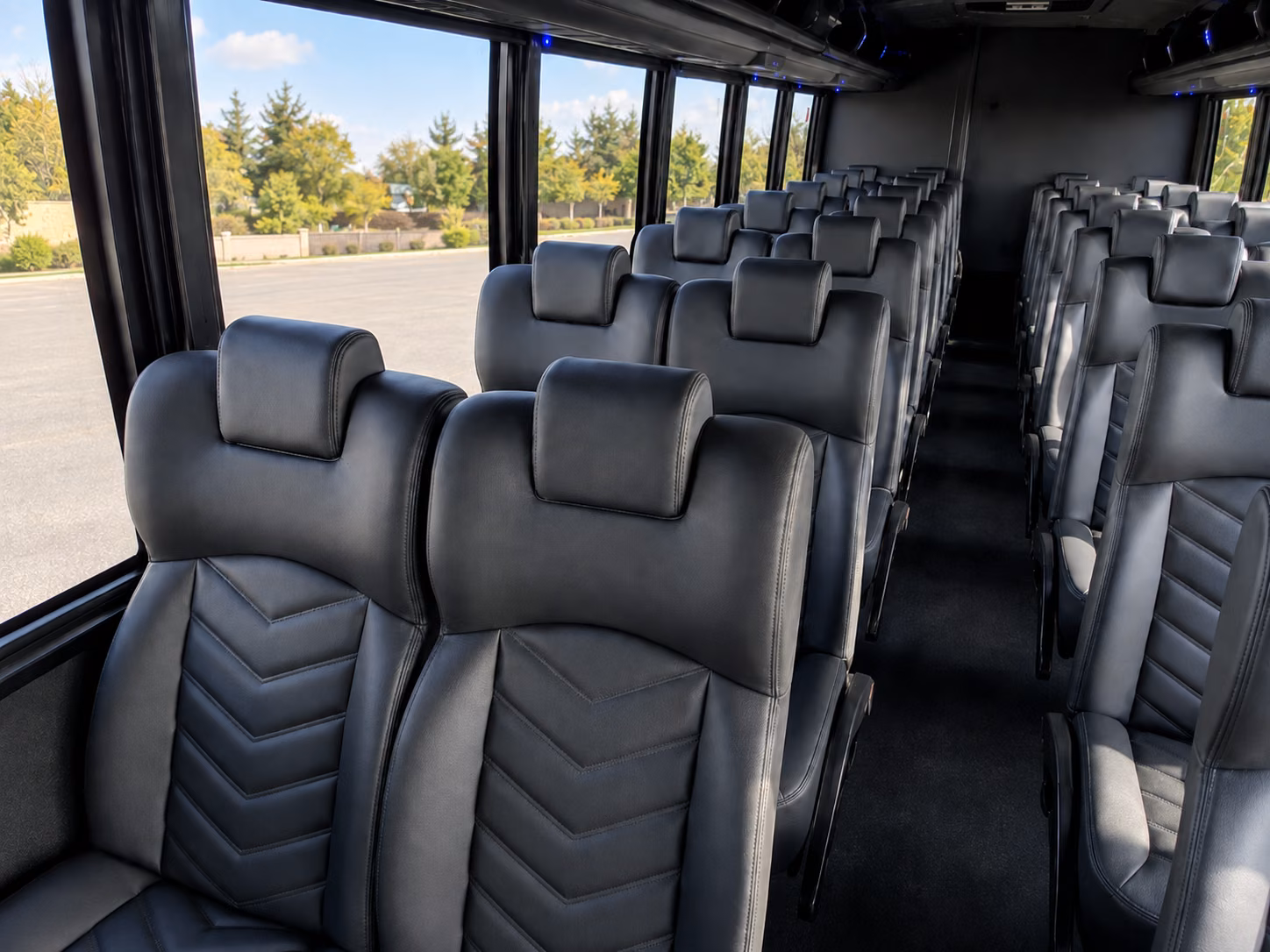 santa cruz 18 passenger minibus inside