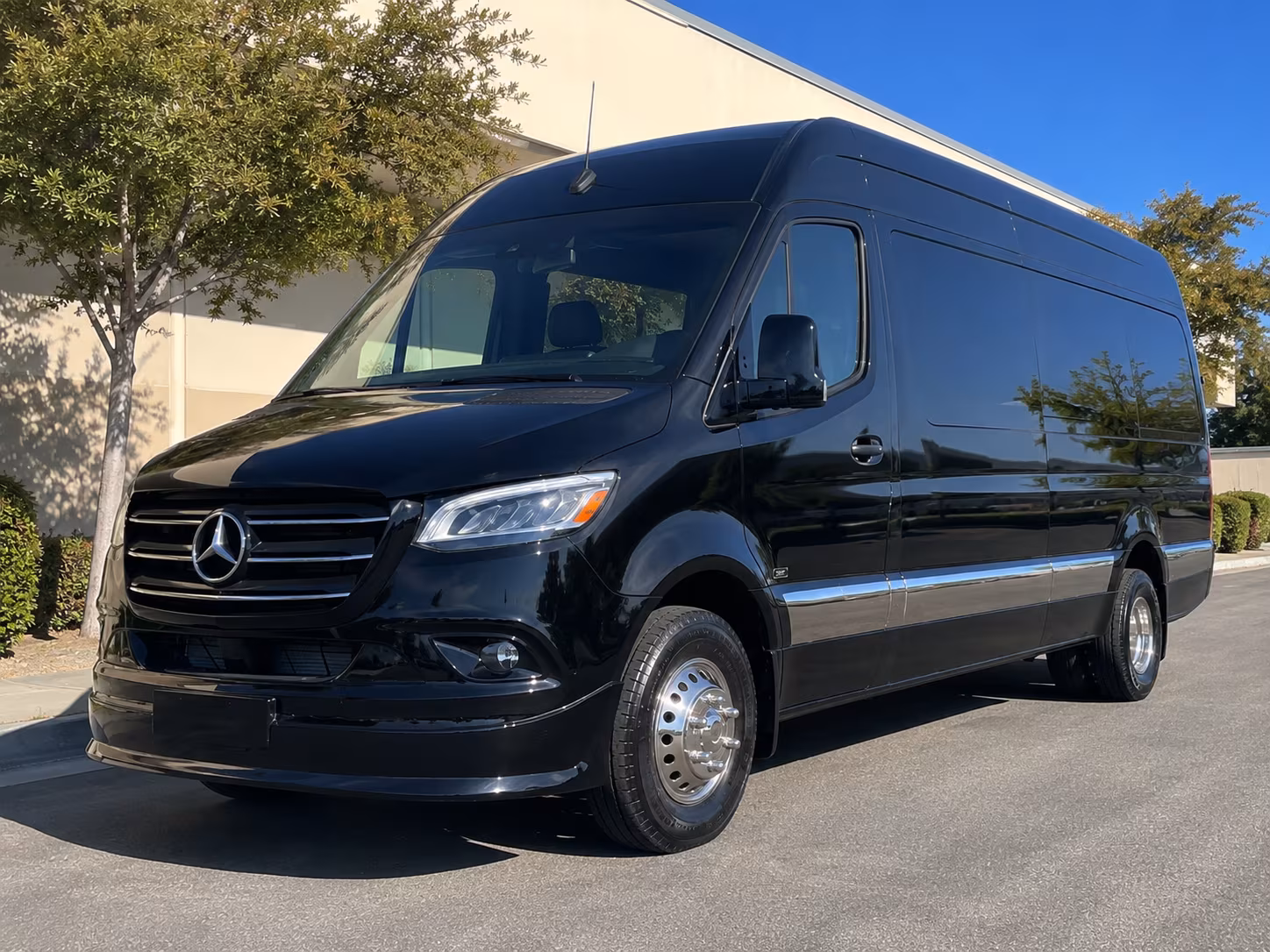 santa cruz sprinter van with driver